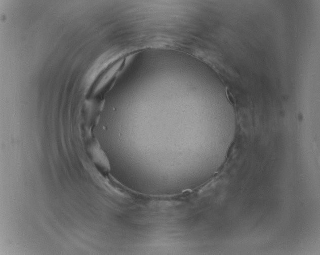 X0000075920242200610062214