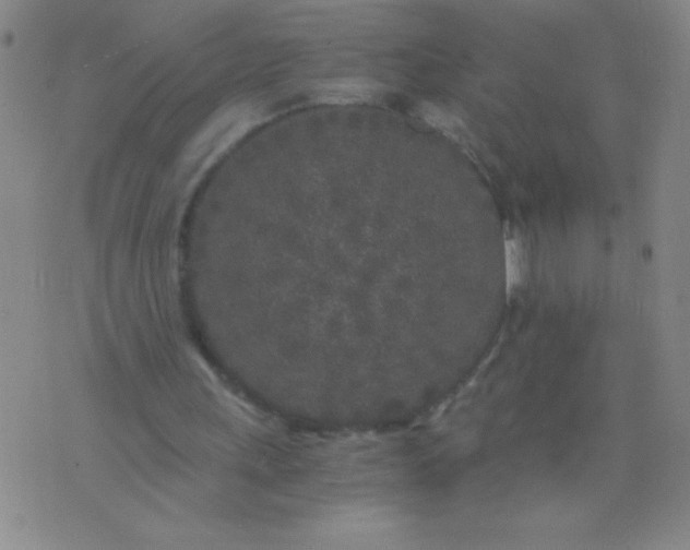 X0000075920243200610062214