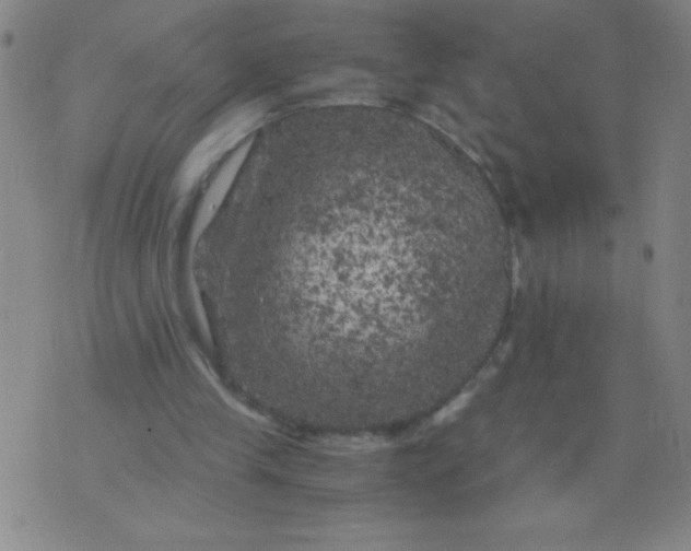 X0000075920245200610062215