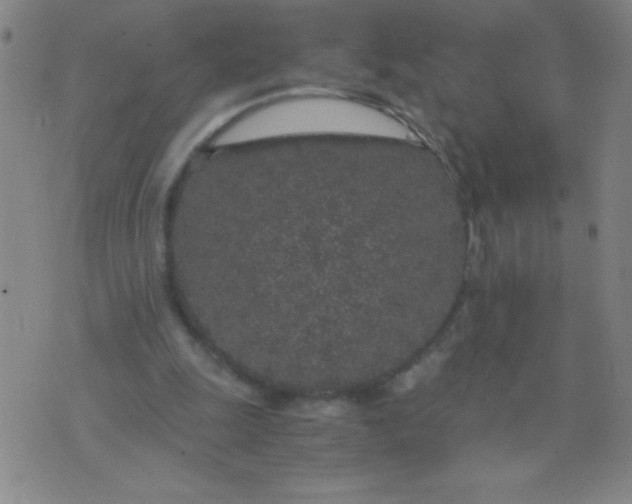 X0000075920247200610062215