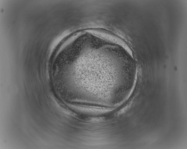 X0000075920248200610062215