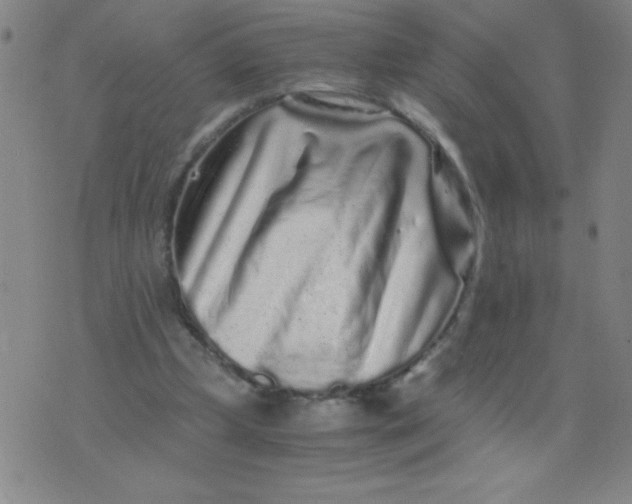 X0000075920249200610062215