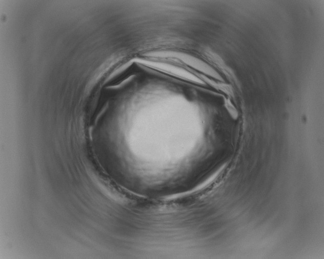 X0000075920250200610062215