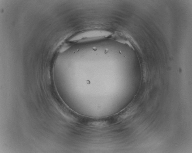 X0000075920251200610062215