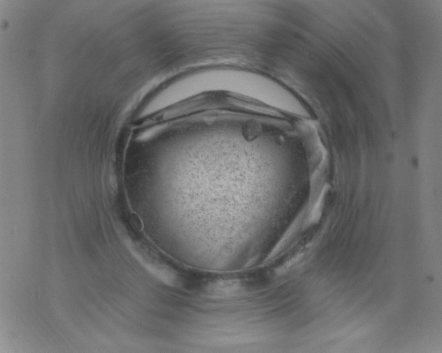 X0000075920252200610062215