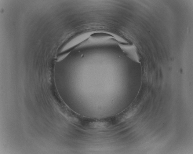 X0000075920255200610062215