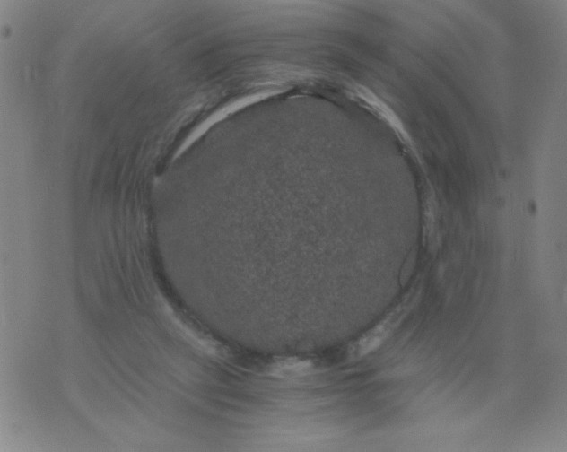 X0000075920257200610062215