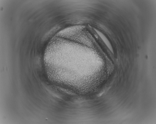 X0000075920258200610062215