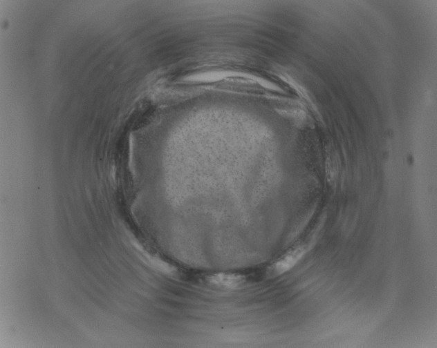 X0000075920261200610062215