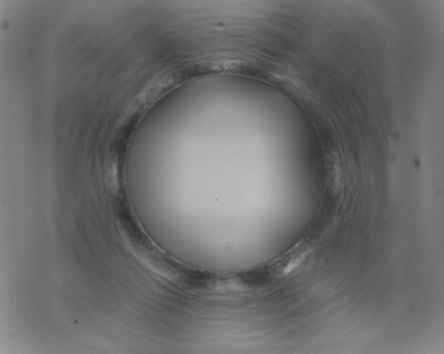 X0000075920262200610062215