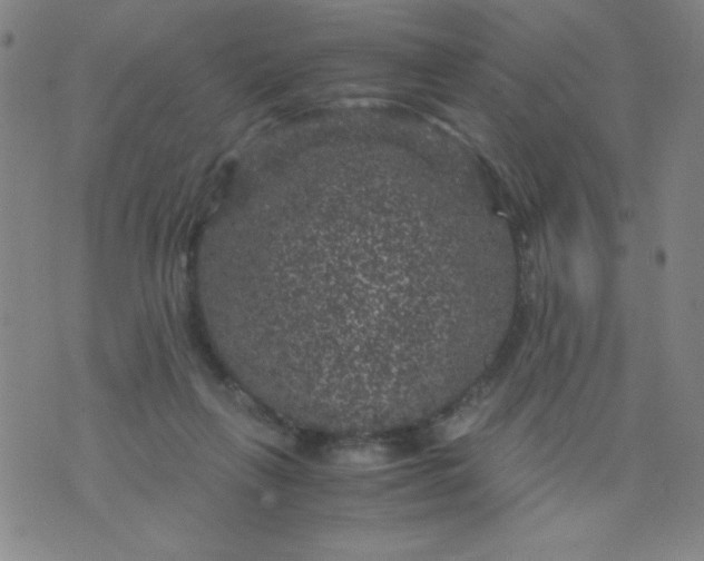 X0000075920263200610062215