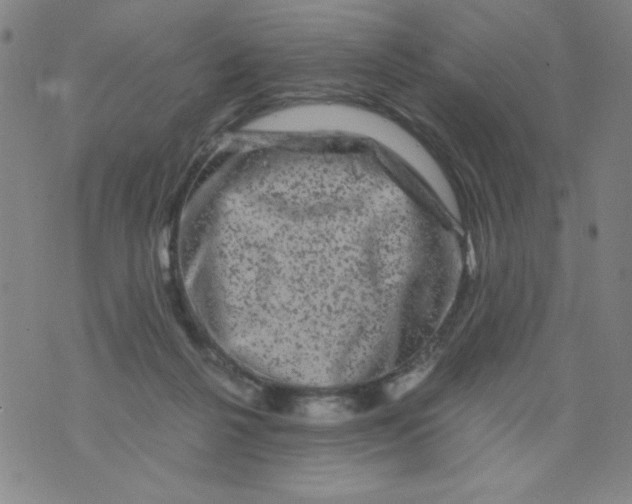 X0000075920264200610062215