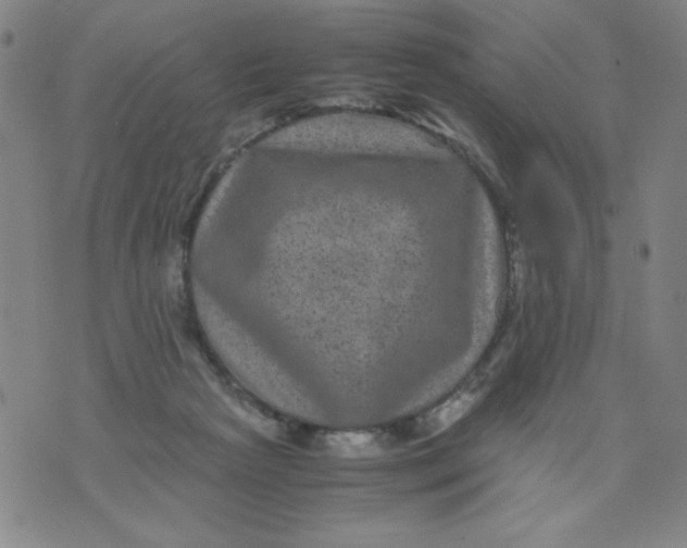 X0000075920265200610062215