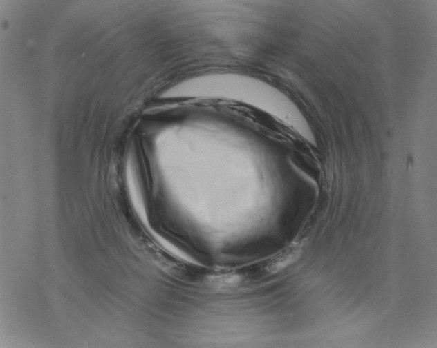 X0000075920266200610062215