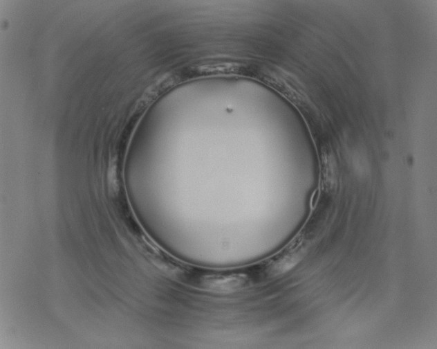 X0000075920267200610062215