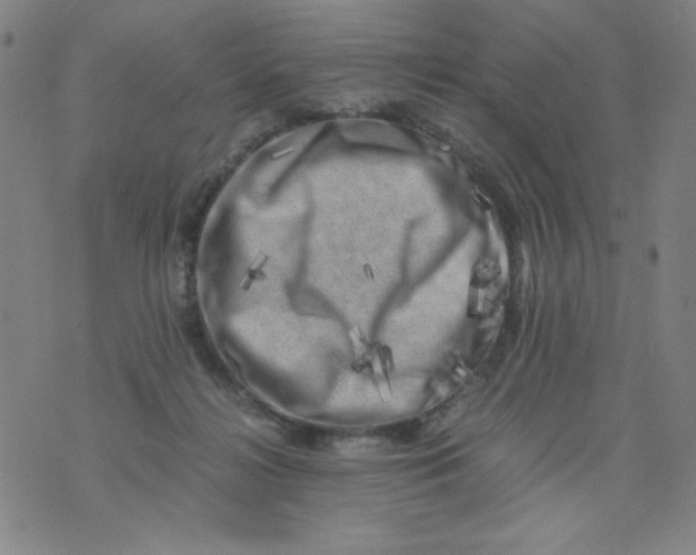 X0000075920268200610062215