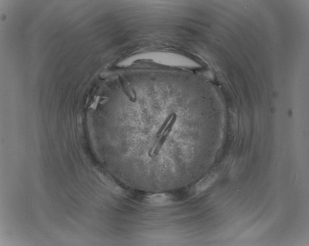 X0000075920269200610062215