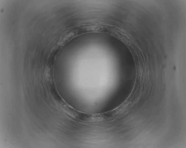 X0000075920270200610062215