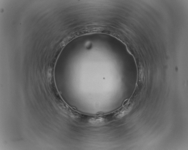 X0000075920271200610062215