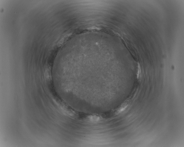 X0000075920272200610062215