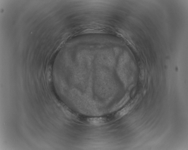 X0000075920273200610062215