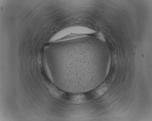 X0000075920274200610062215