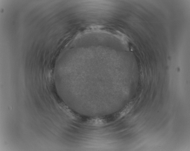 X0000075920276200610062215