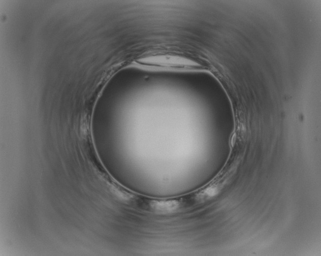 X0000075920277200610062215