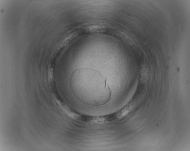 X0000075920278200610062215