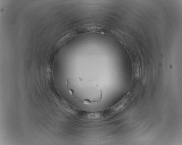 X0000075920279200610062215