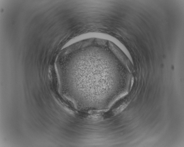 X0000075920280200610062215