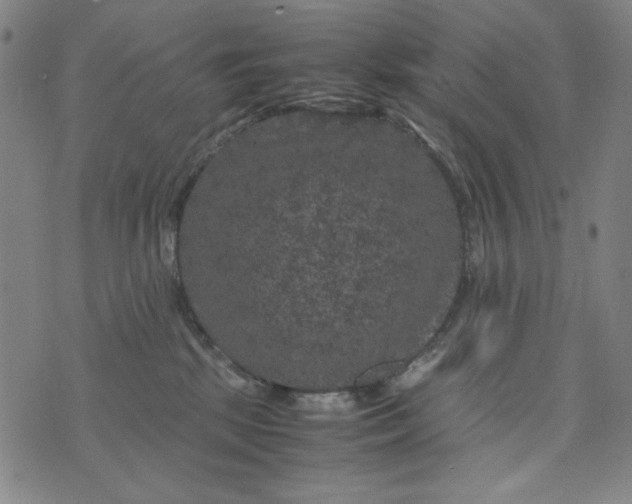 X0000075920281200610062215