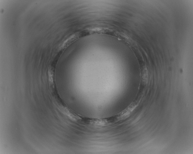 X0000075920282200610062215