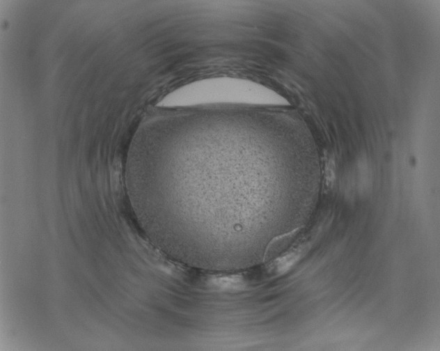 X0000075920283200610062215