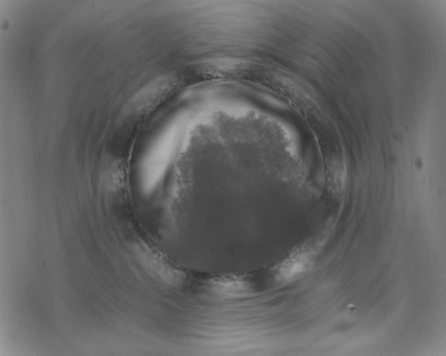 X0000075920284200610062215