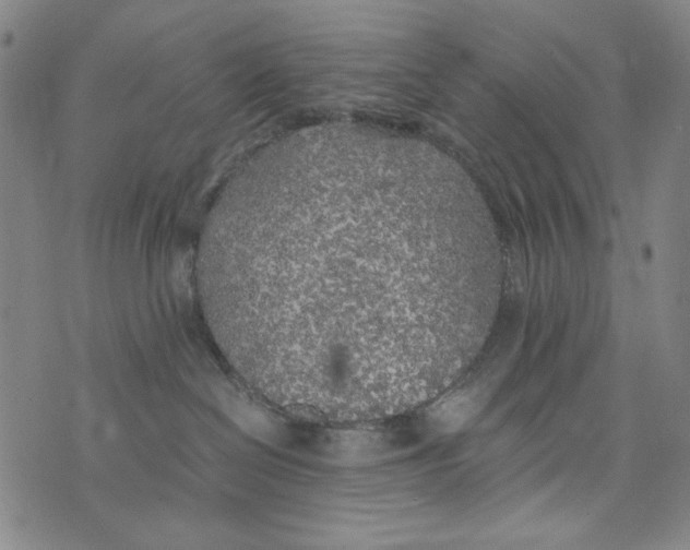 X0000075920286200610062215