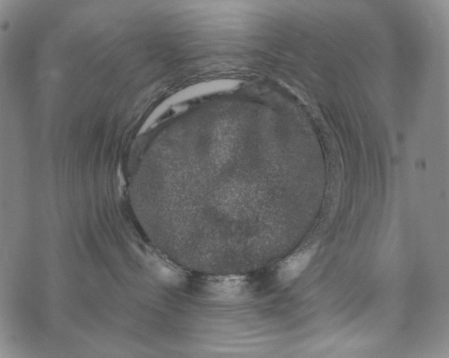 X0000075920288200610062215