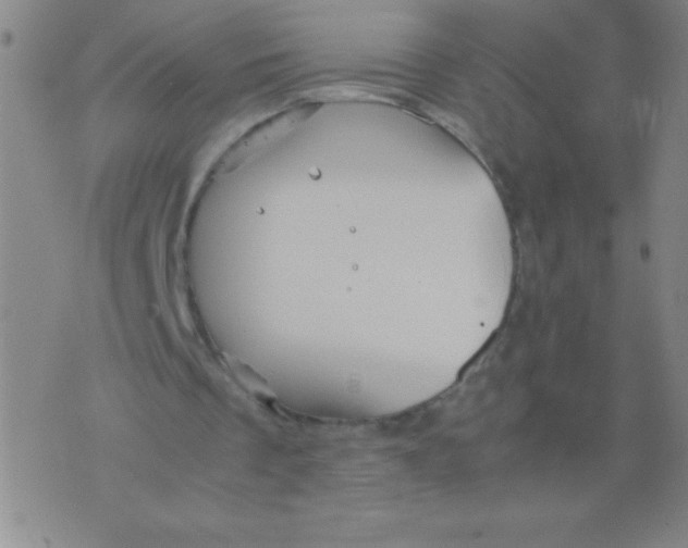 X0000075920289200610062214