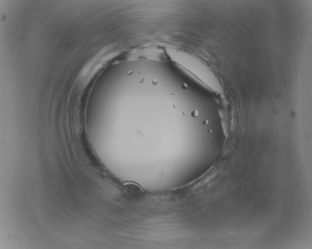 X0000075920291200610062214