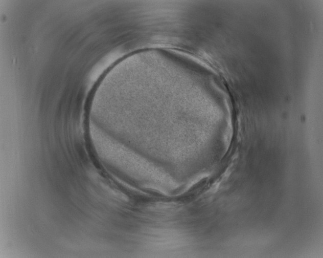 X0000075920292200610062214