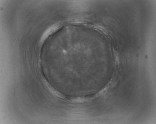 X0000075920293200610062214