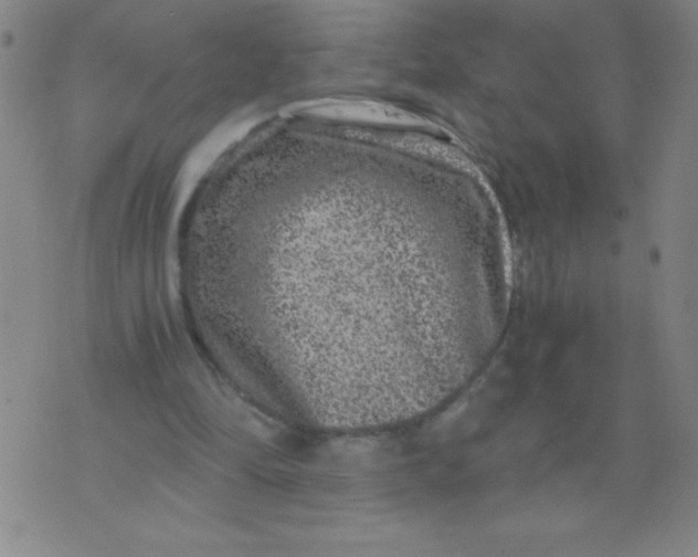 X0000075920294200610062214