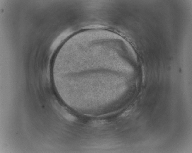 X0000075920296200610062214