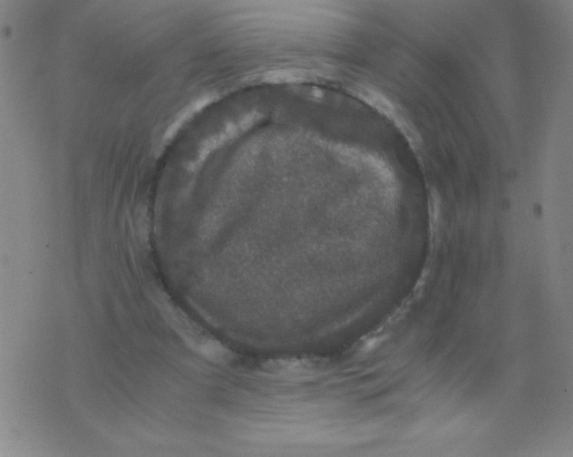 X0000075920297200610062214