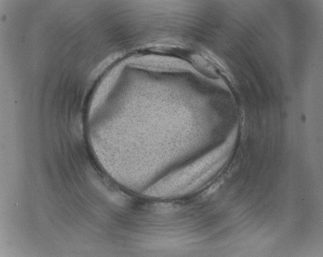 X0000075920298200610062214