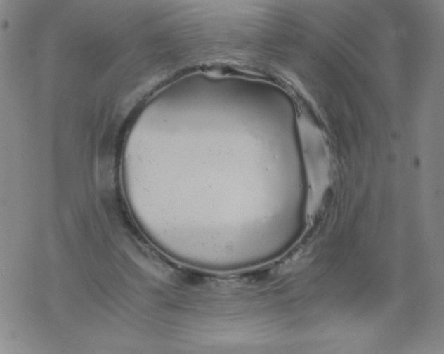 X0000075920299200610062214