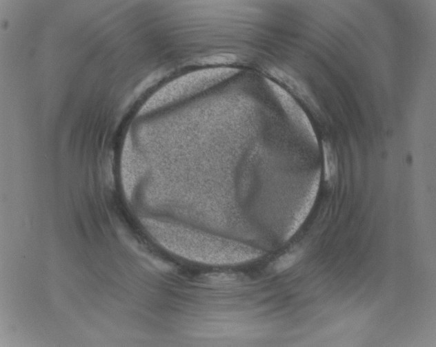 X0000075920300200610062214