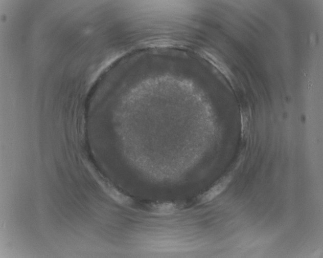 X0000075920301200610062214