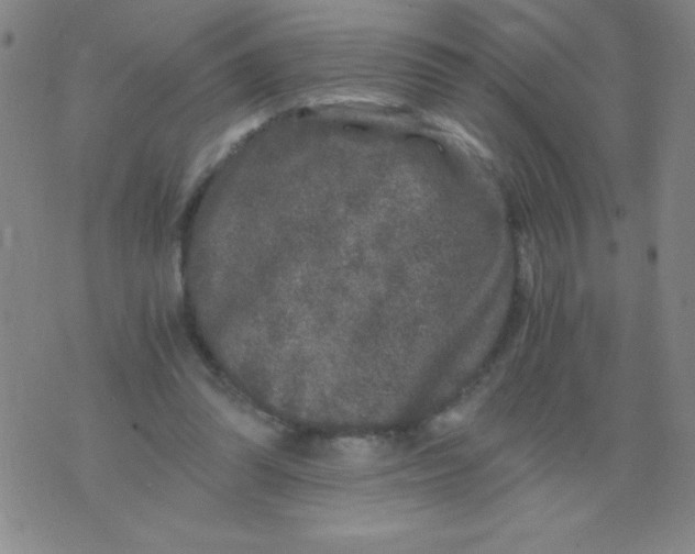 X0000075920302200610062214