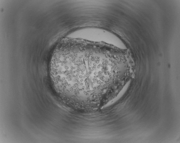 X0000075920303200610062214